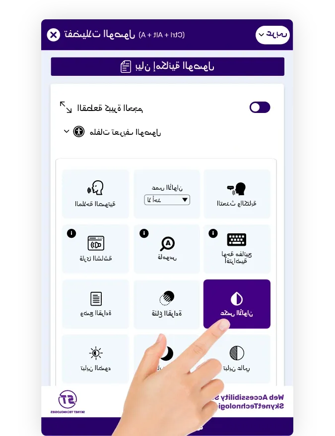 Arabic website accessibility solution